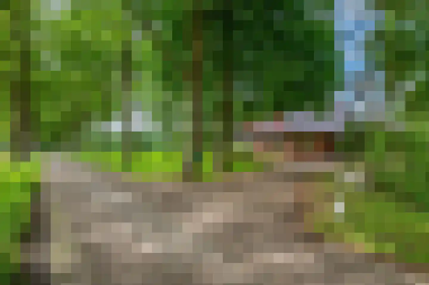 Veelerweg 6 Vlagtwedde thumbnail 5