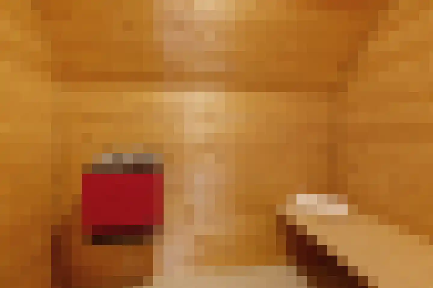 Veelerweg 6 Vlagtwedde thumbnail 53