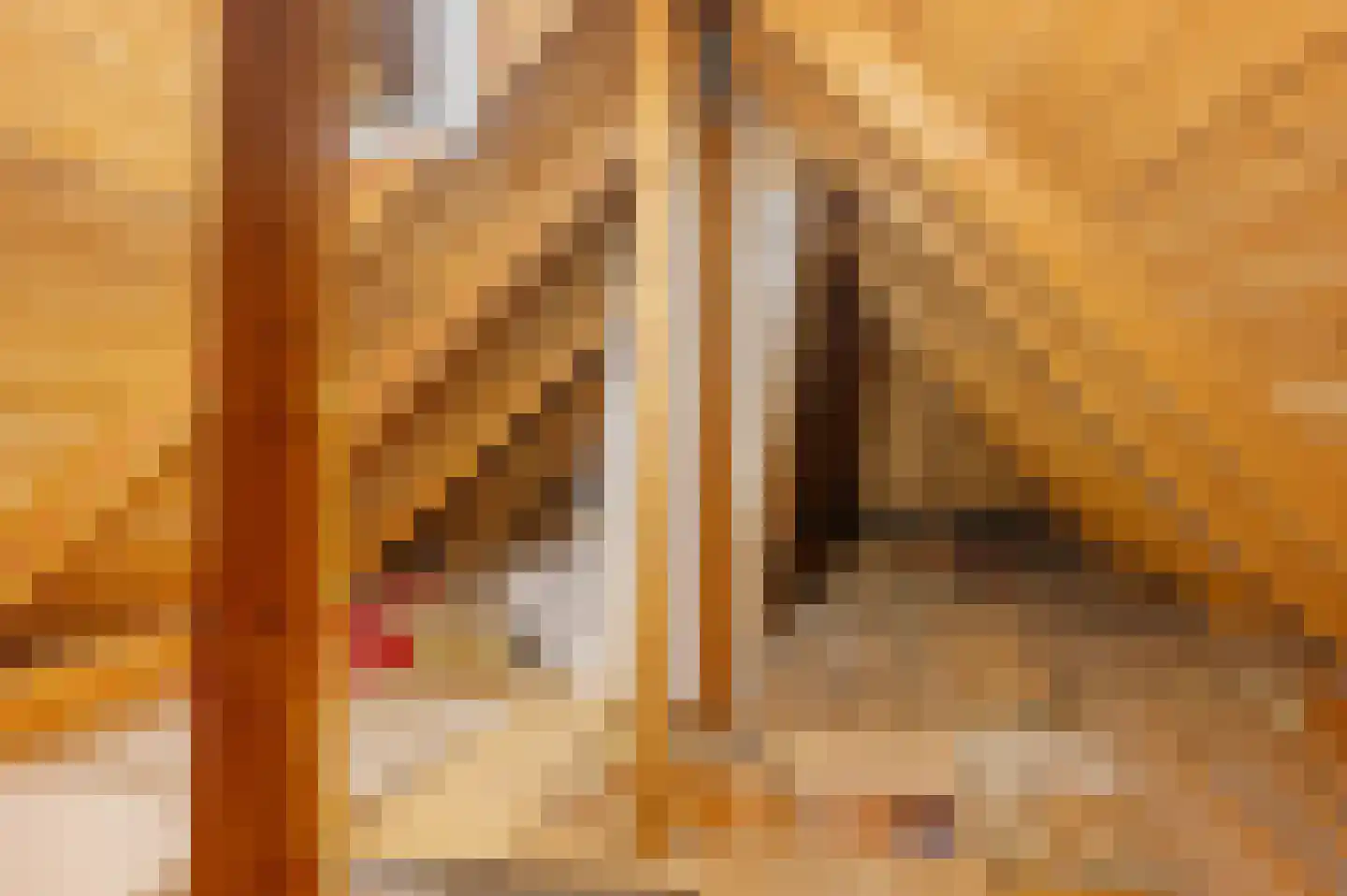 Veelerweg 6 Vlagtwedde thumbnail 54