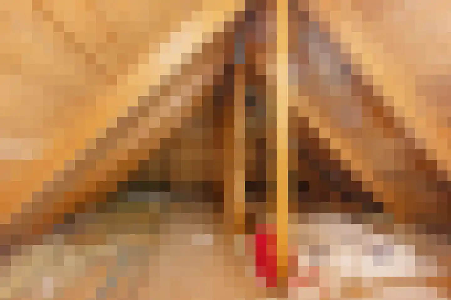 Veelerweg 6 Vlagtwedde thumbnail 55
