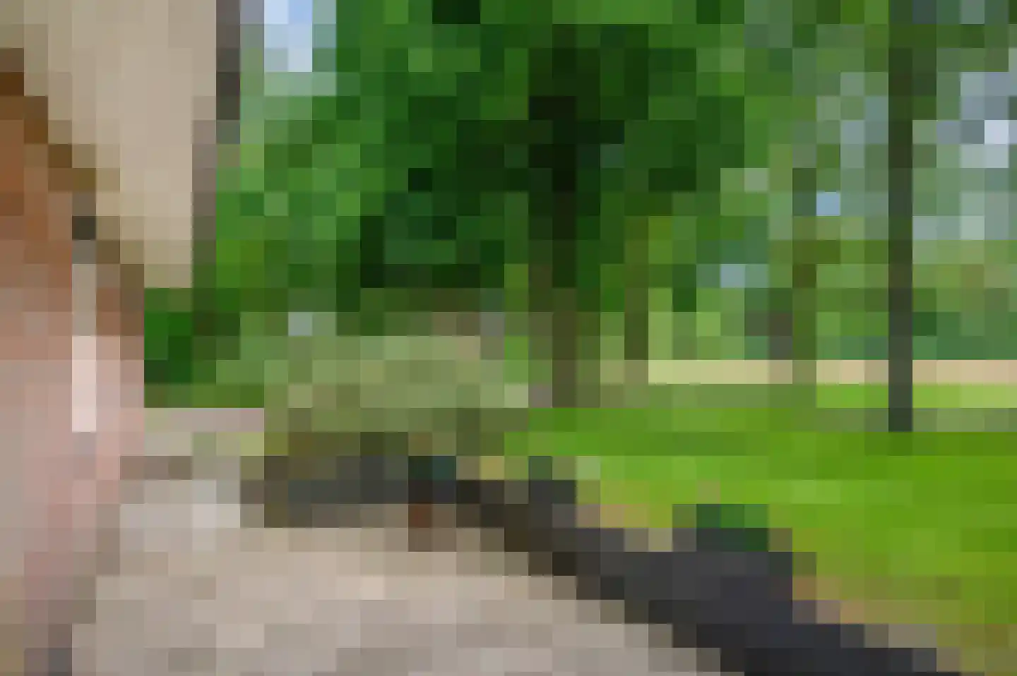 Veelerweg 6 Vlagtwedde thumbnail 58