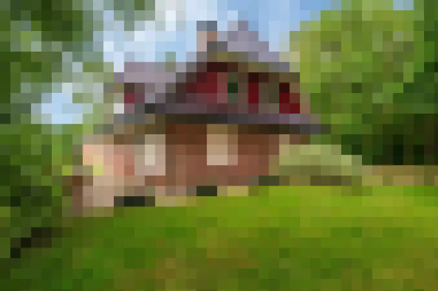 Veelerweg 6 Vlagtwedde thumbnail 59