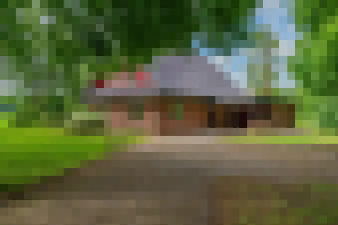 Veelerweg 6 Vlagtwedde thumbnail 6
