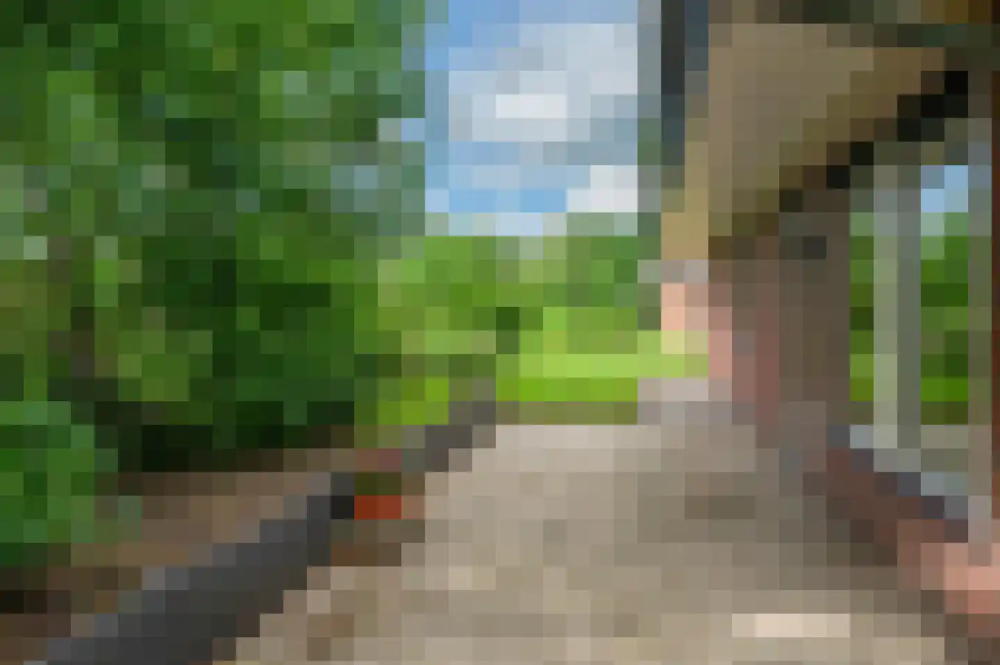 Veelerweg 6 Vlagtwedde thumbnail 61