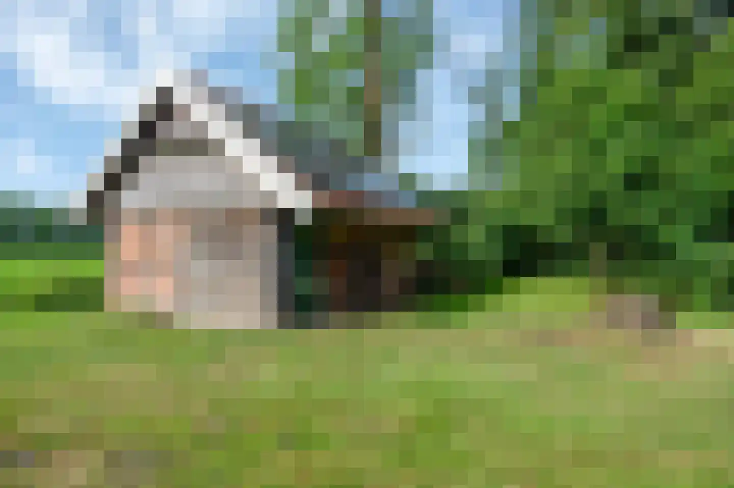 Veelerweg 6 Vlagtwedde thumbnail 63