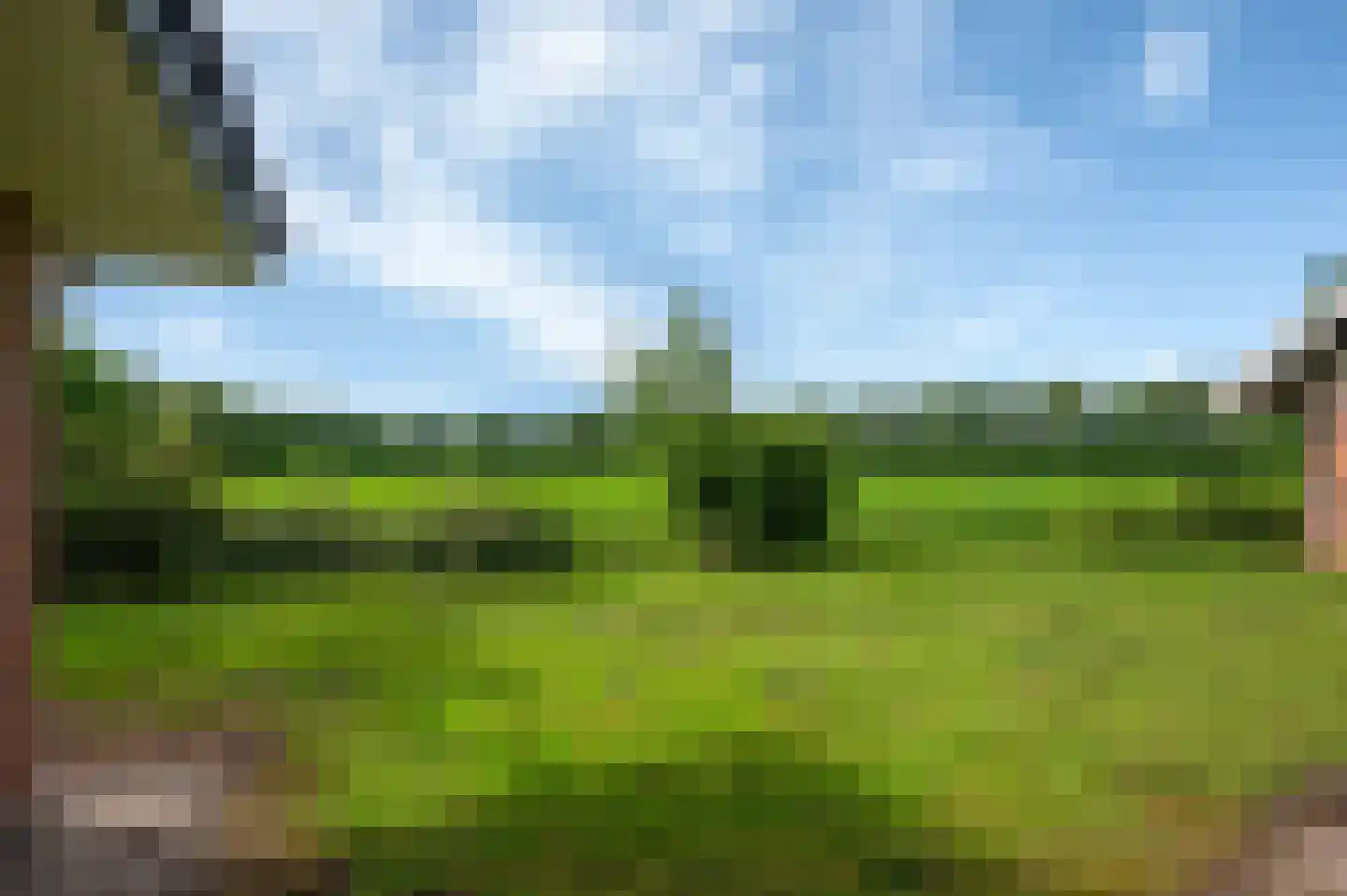 Veelerweg 6 Vlagtwedde thumbnail 65
