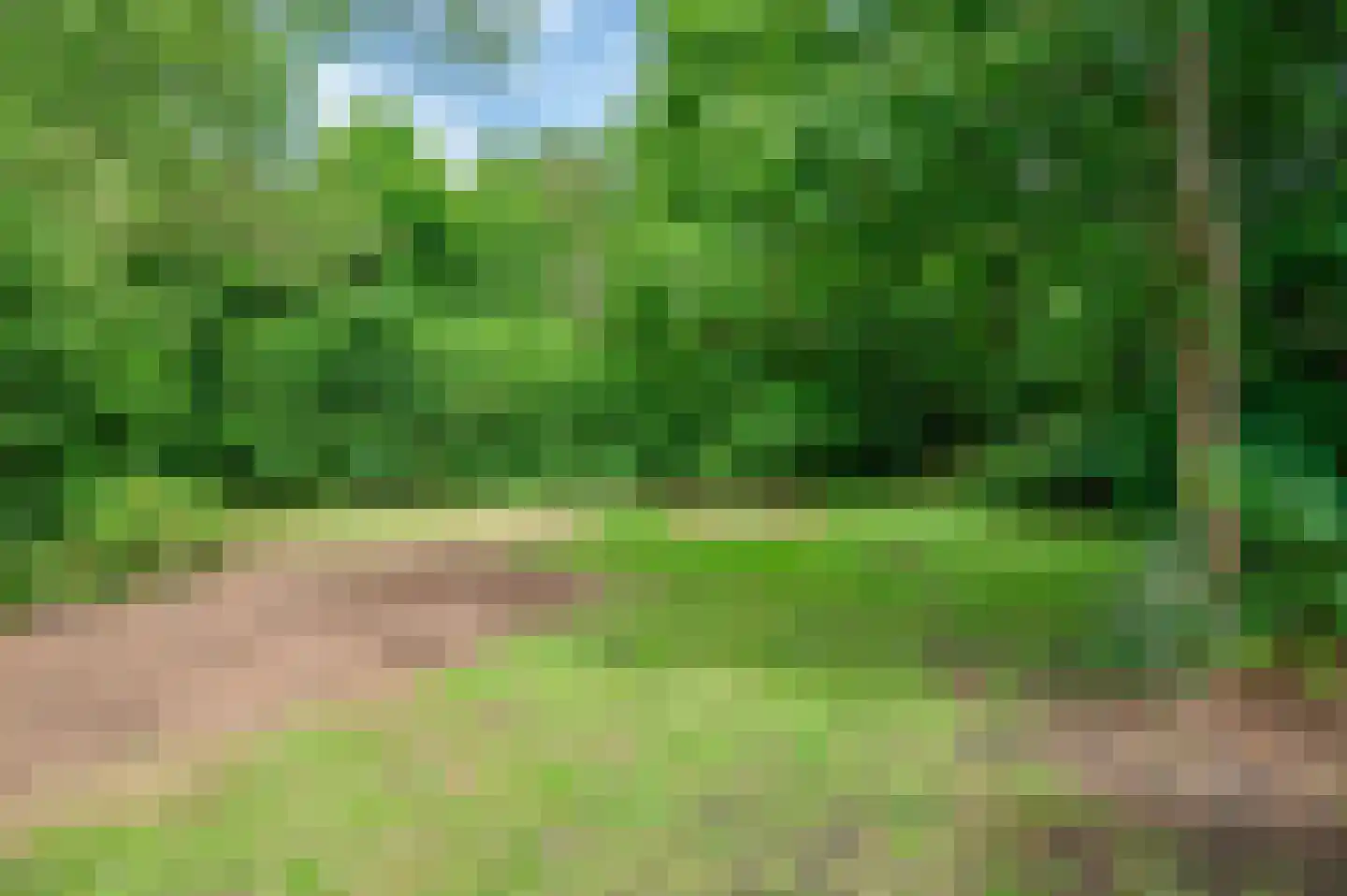 Veelerweg 6 Vlagtwedde thumbnail 68