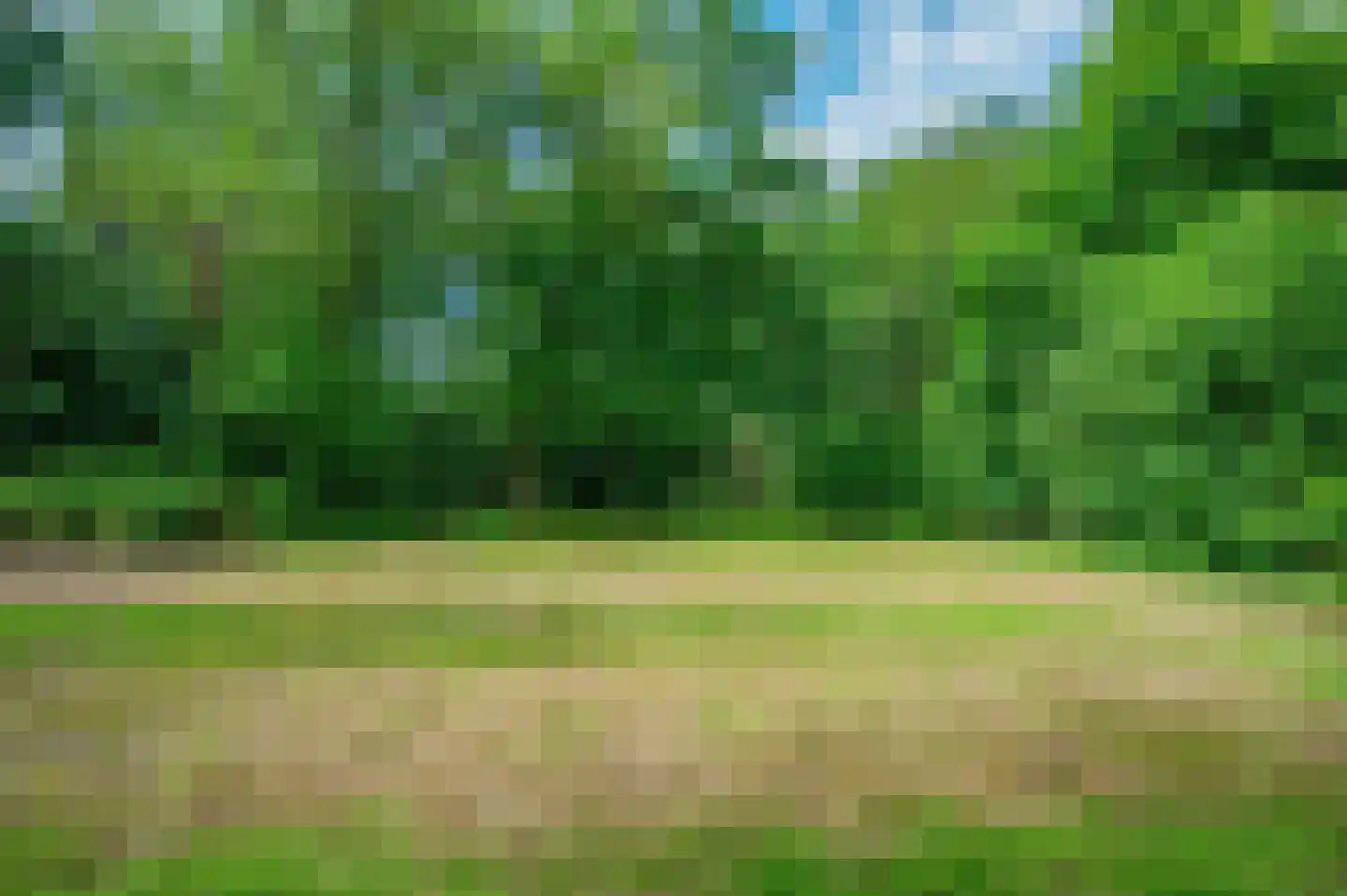 Veelerweg 6 Vlagtwedde thumbnail 69