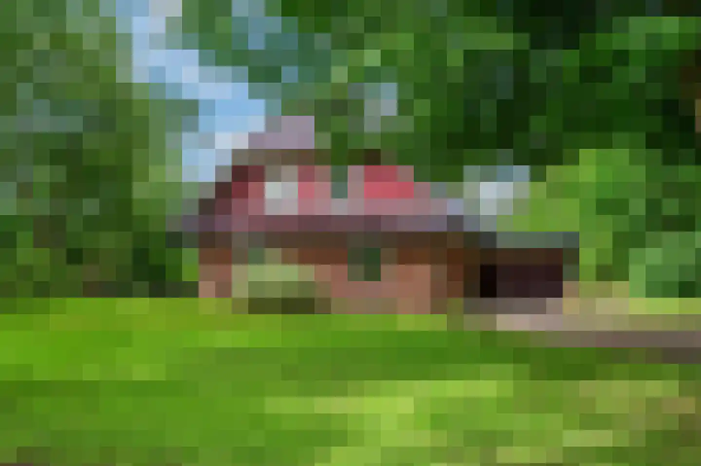 Veelerweg 6 Vlagtwedde thumbnail 7