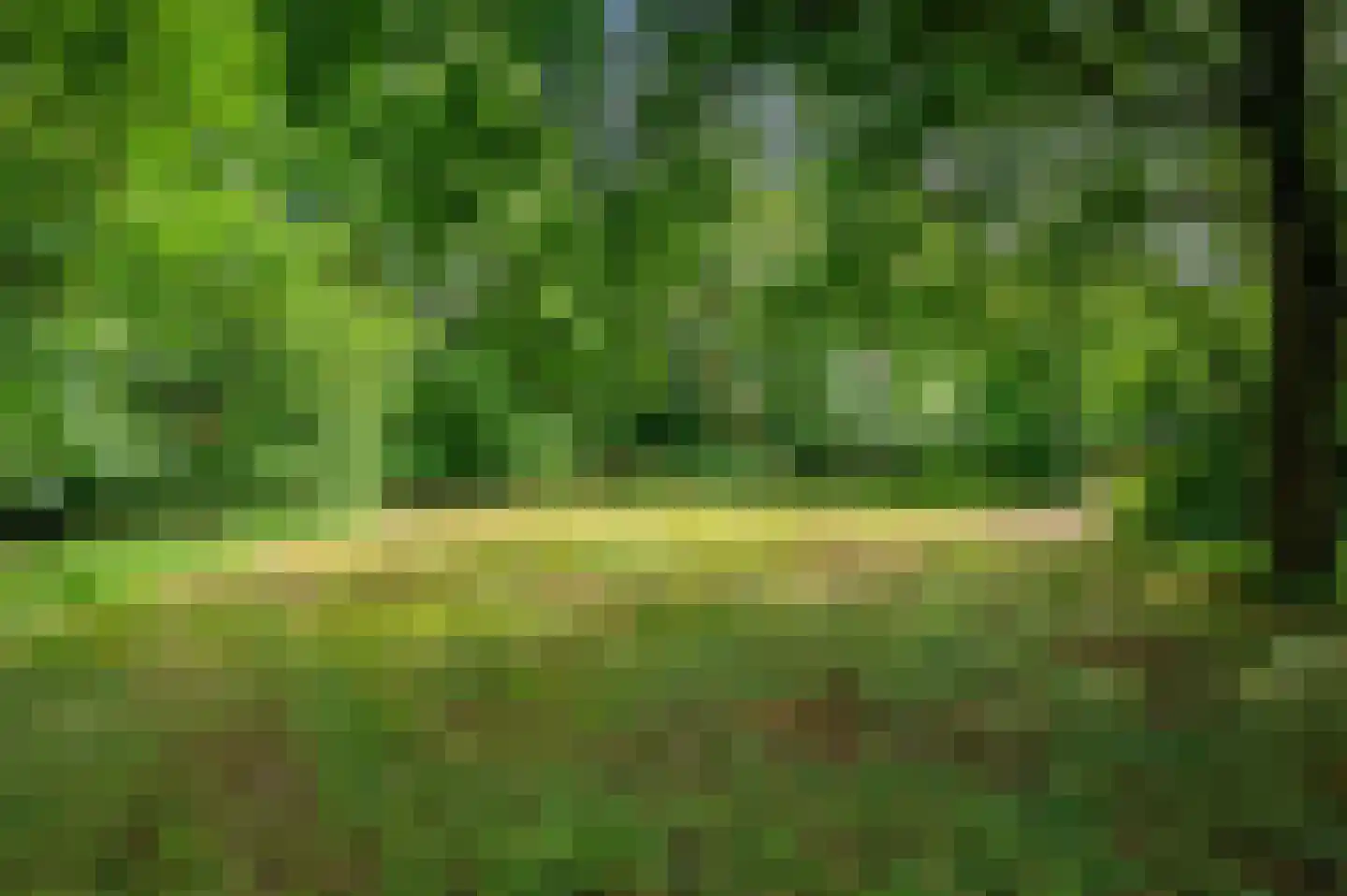 Veelerweg 6 Vlagtwedde thumbnail 70