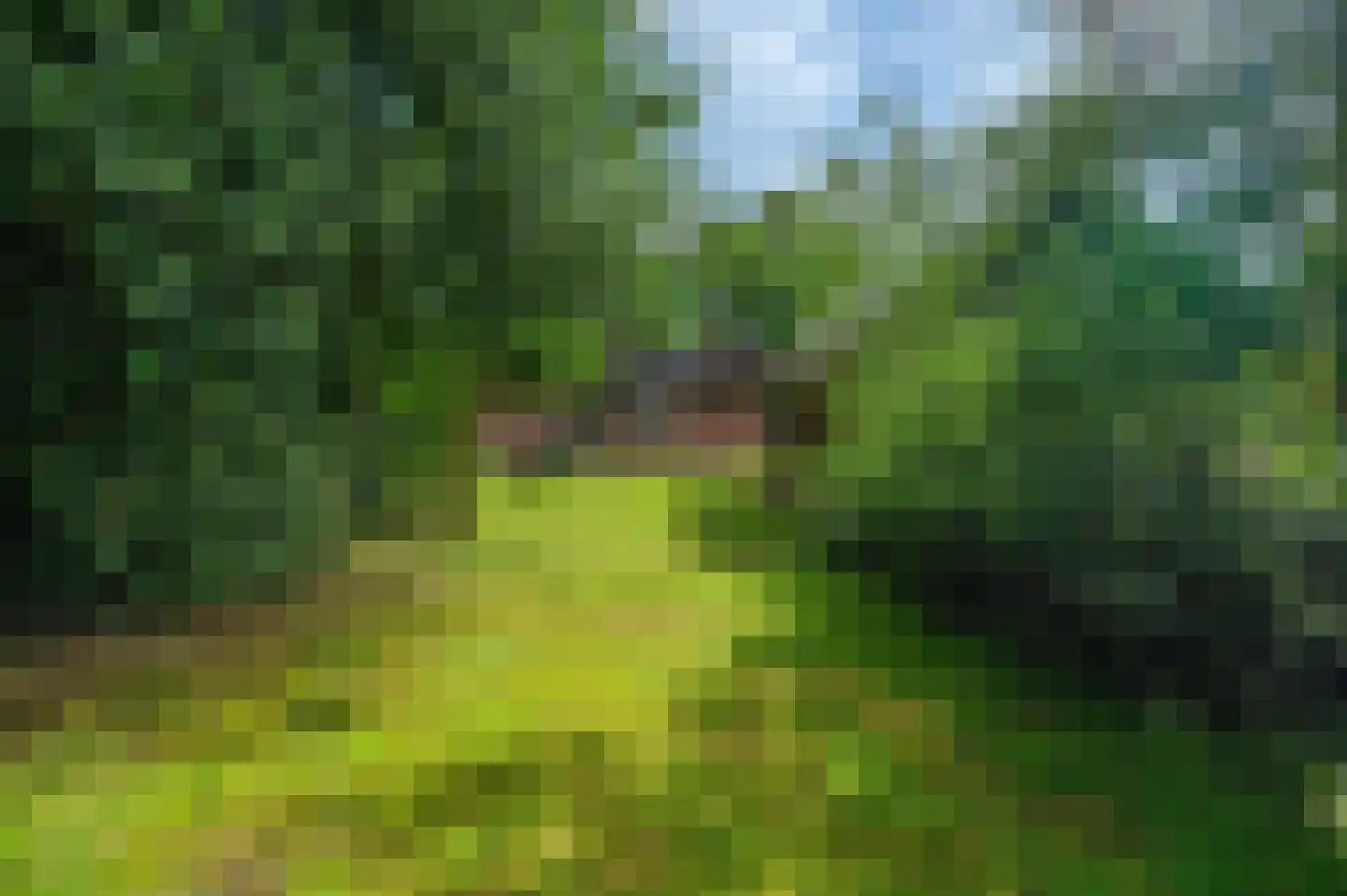 Veelerweg 6 Vlagtwedde thumbnail 72