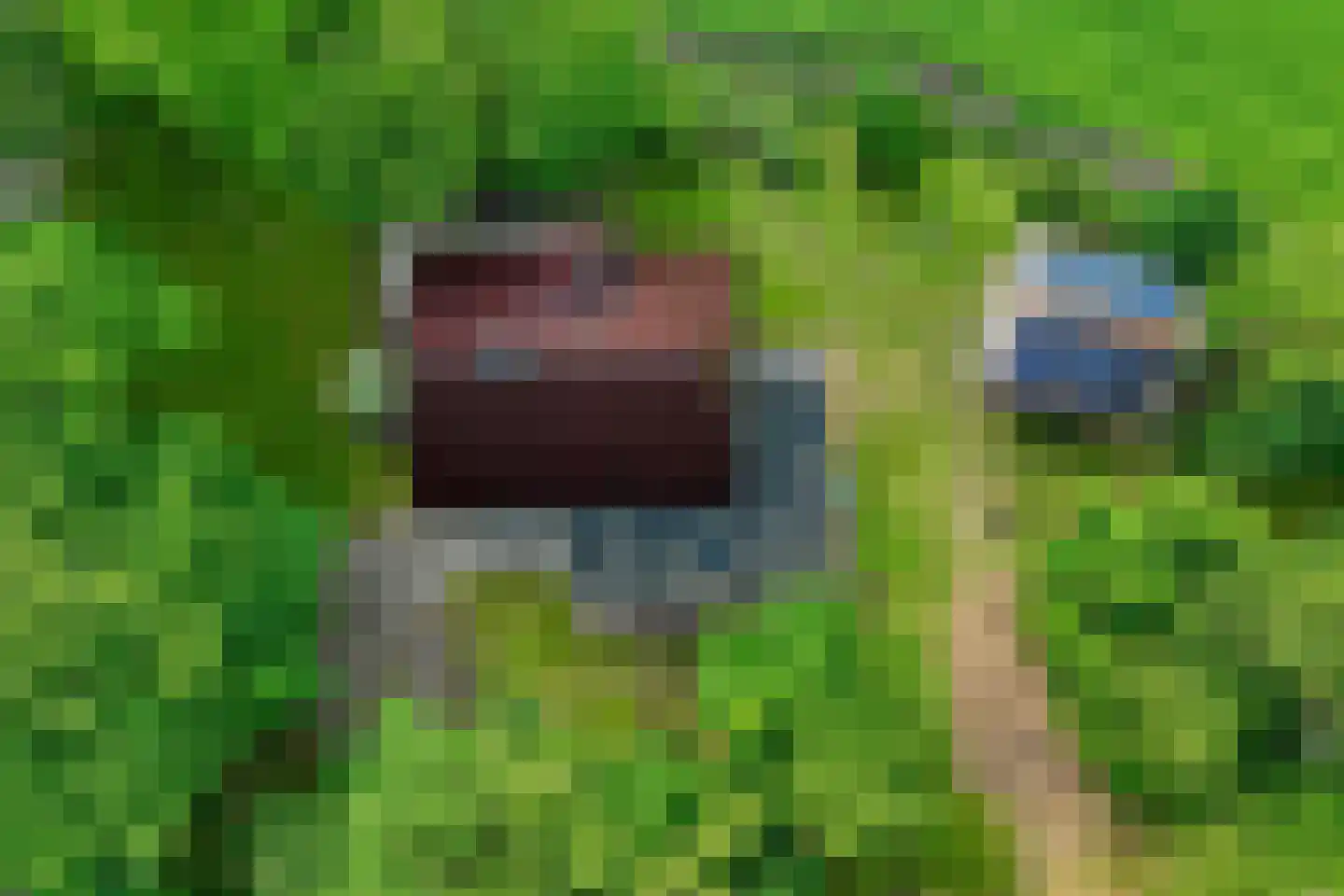 Veelerweg 6 Vlagtwedde thumbnail 73
