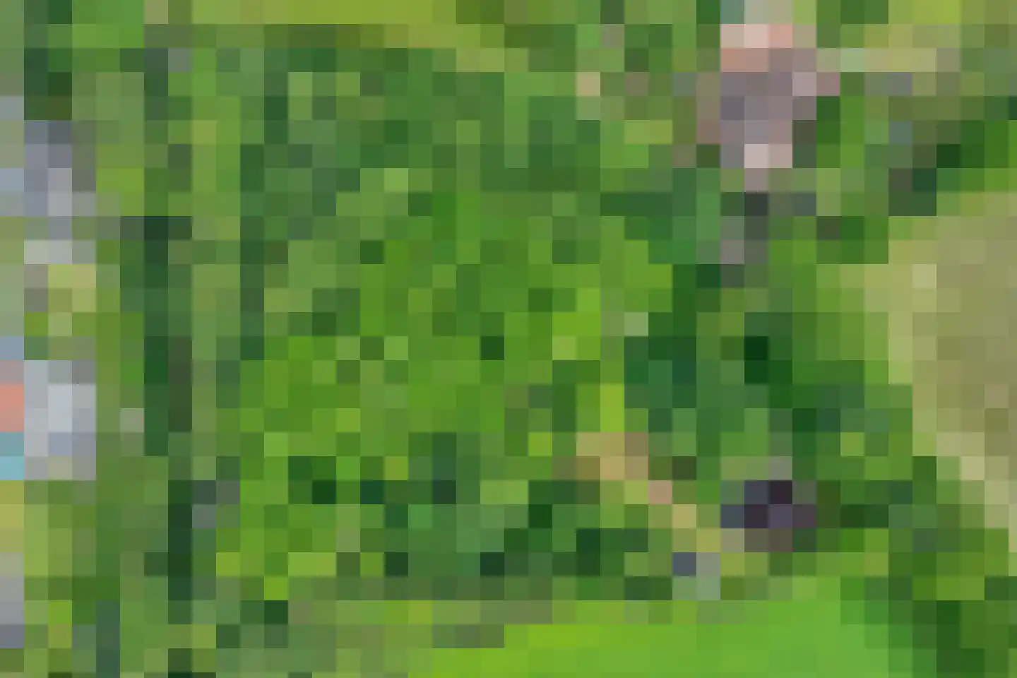 Veelerweg 6 Vlagtwedde thumbnail 74