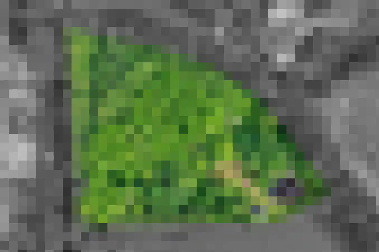 Veelerweg 6 Vlagtwedde thumbnail 75