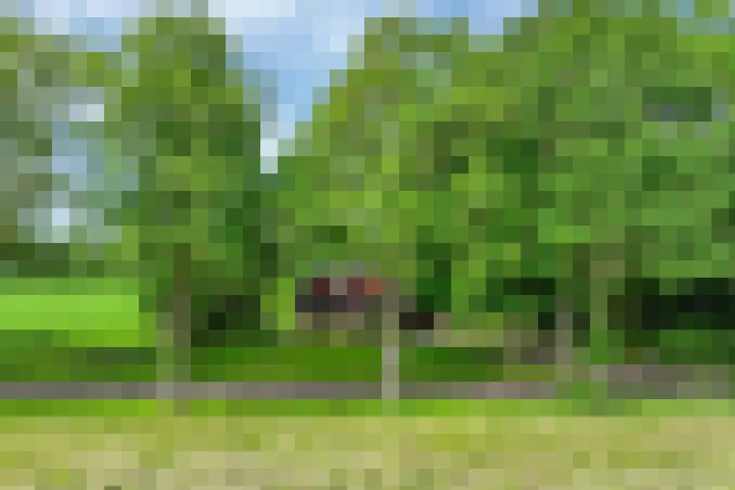 Veelerweg 6 Vlagtwedde thumbnail 76