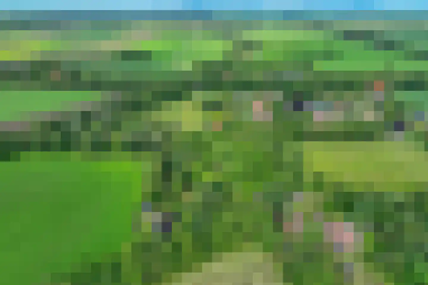 Veelerweg 6 Vlagtwedde thumbnail 77