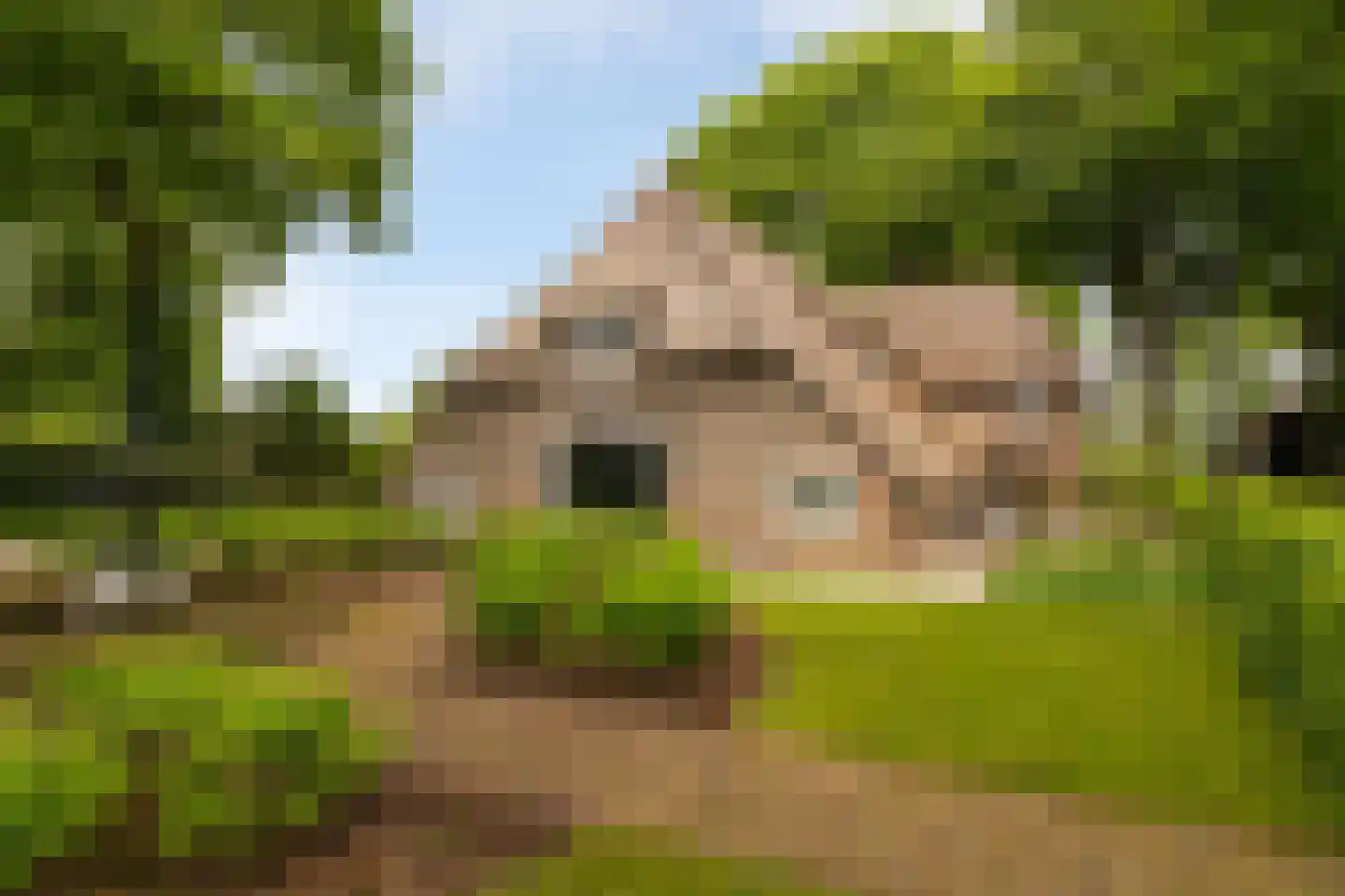 Veelhorsterweg 25 Nunspeet thumbnail 10
