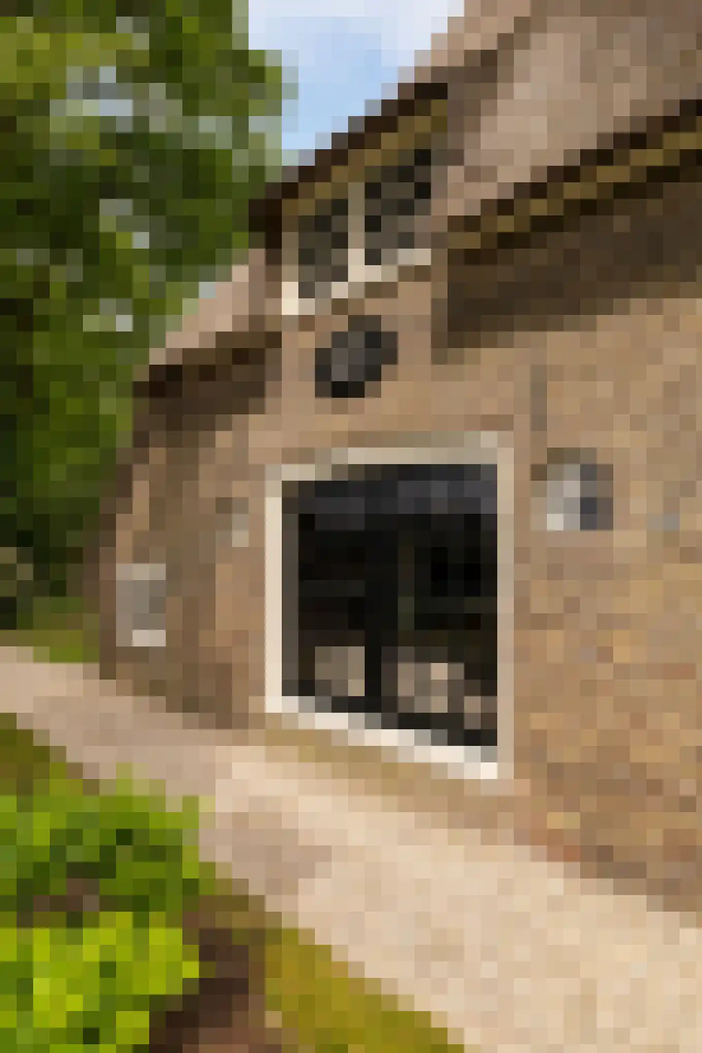 Veelhorsterweg 25 Nunspeet thumbnail 11