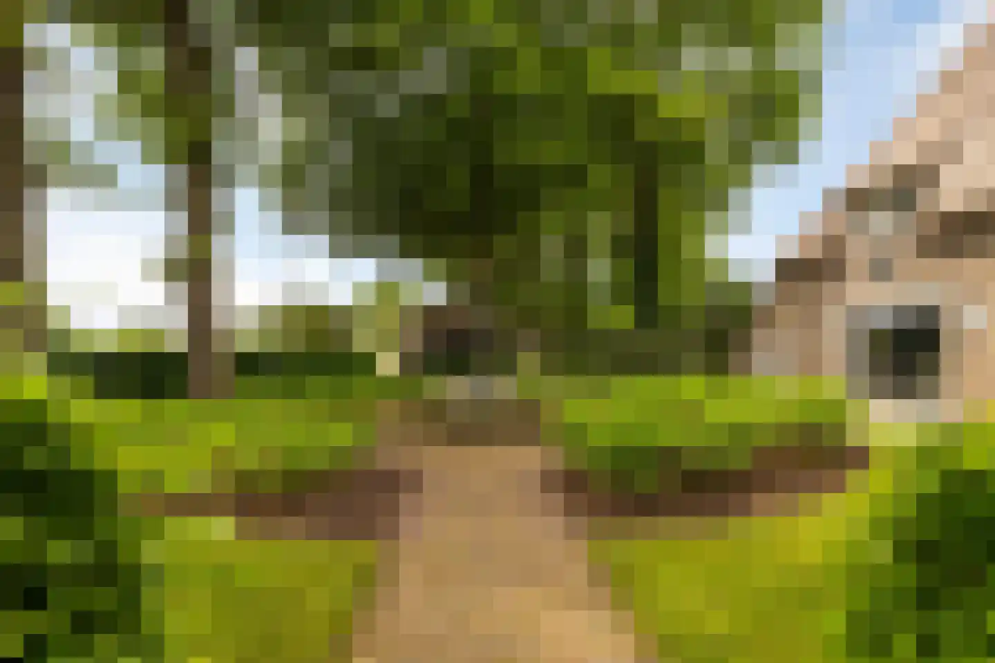 Veelhorsterweg 25 Nunspeet thumbnail 12