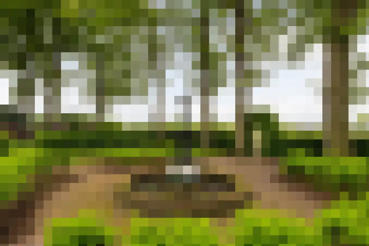 Veelhorsterweg 25 Nunspeet thumbnail 13