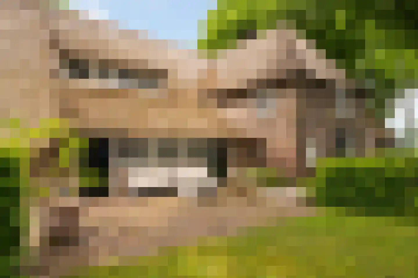 Veelhorsterweg 25 Nunspeet thumbnail 15