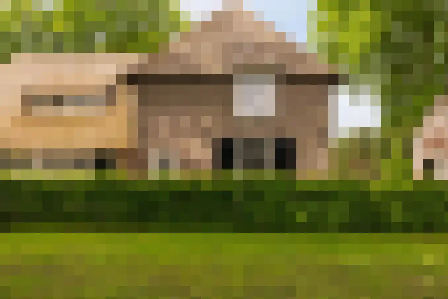 Veelhorsterweg 25 Nunspeet thumbnail 16