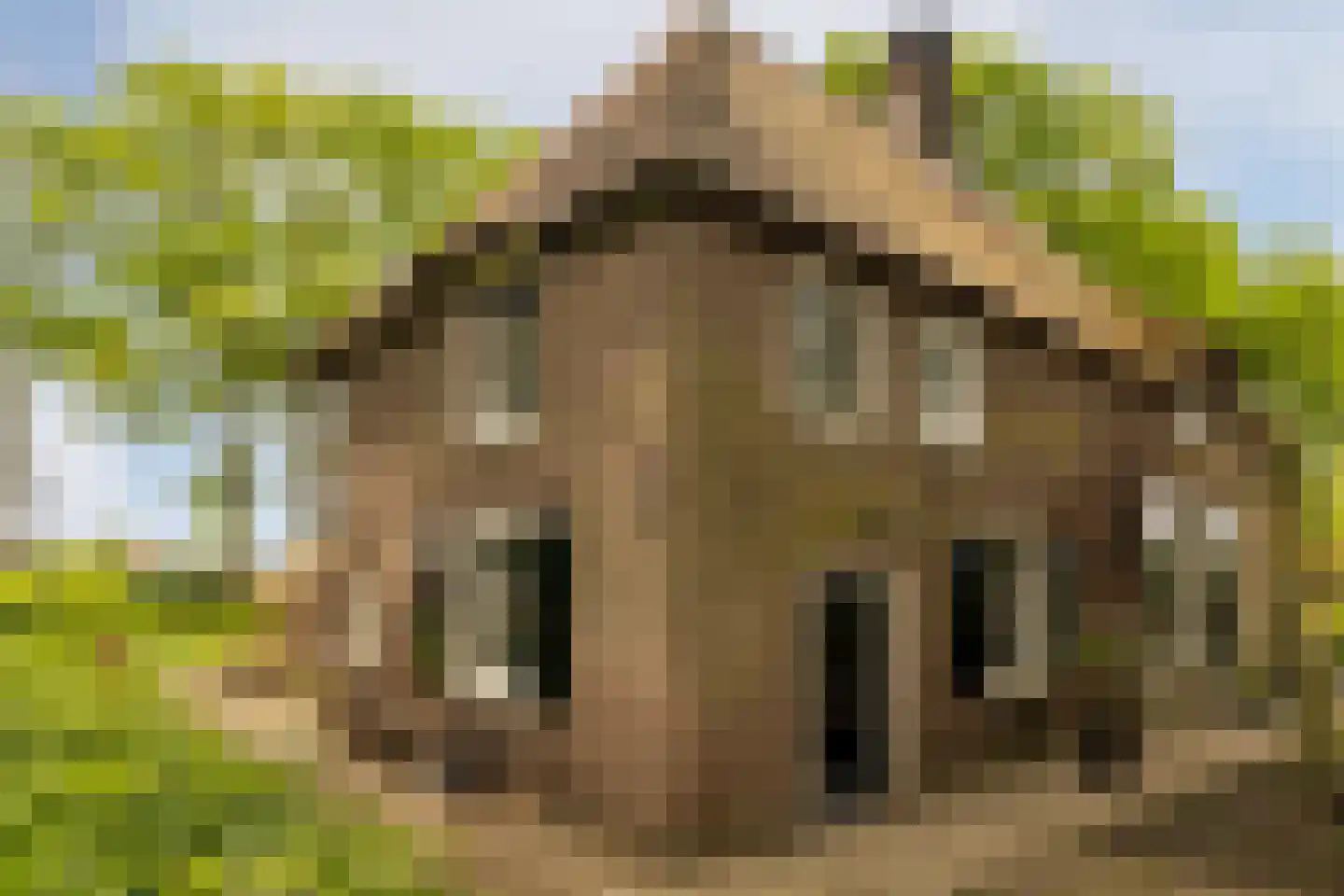 Veelhorsterweg 25 Nunspeet thumbnail 17