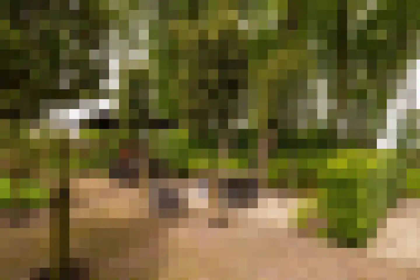 Veelhorsterweg 25 Nunspeet thumbnail 20