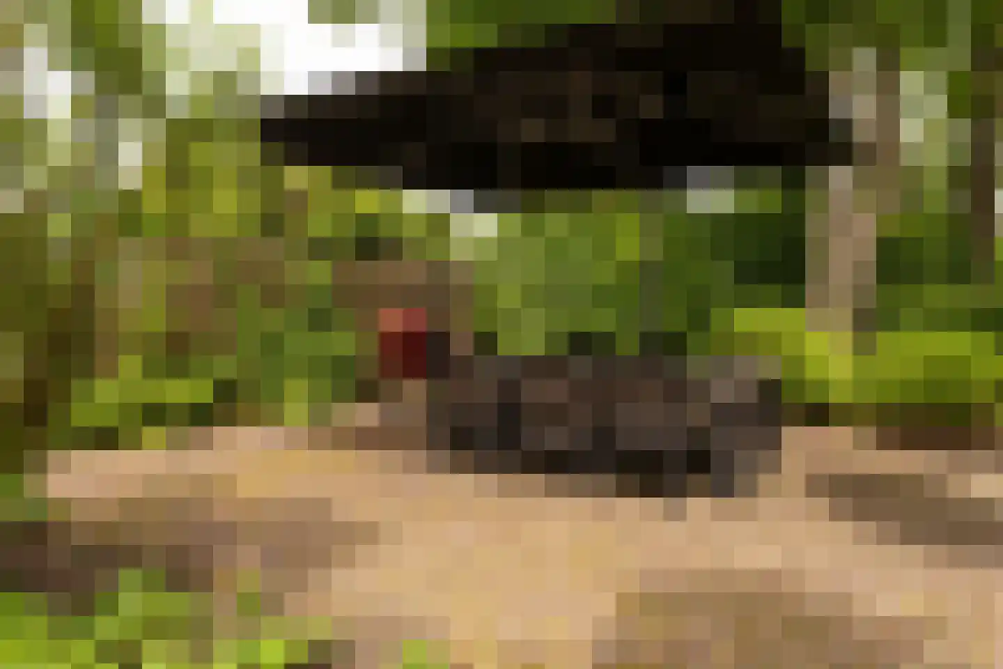 Veelhorsterweg 25 Nunspeet thumbnail 21