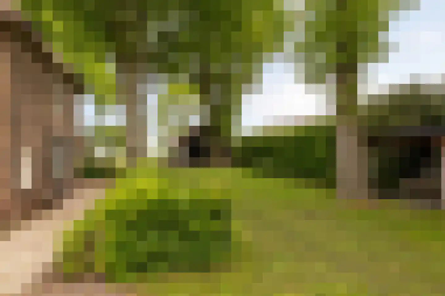 Veelhorsterweg 25 Nunspeet thumbnail 22