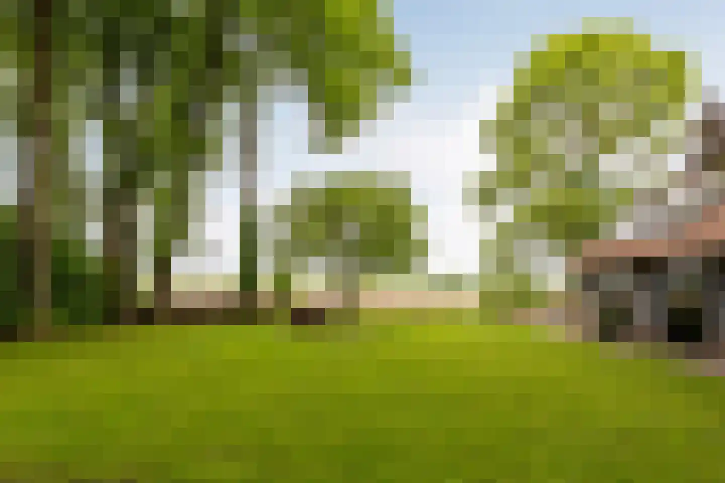 Veelhorsterweg 25 Nunspeet thumbnail 23