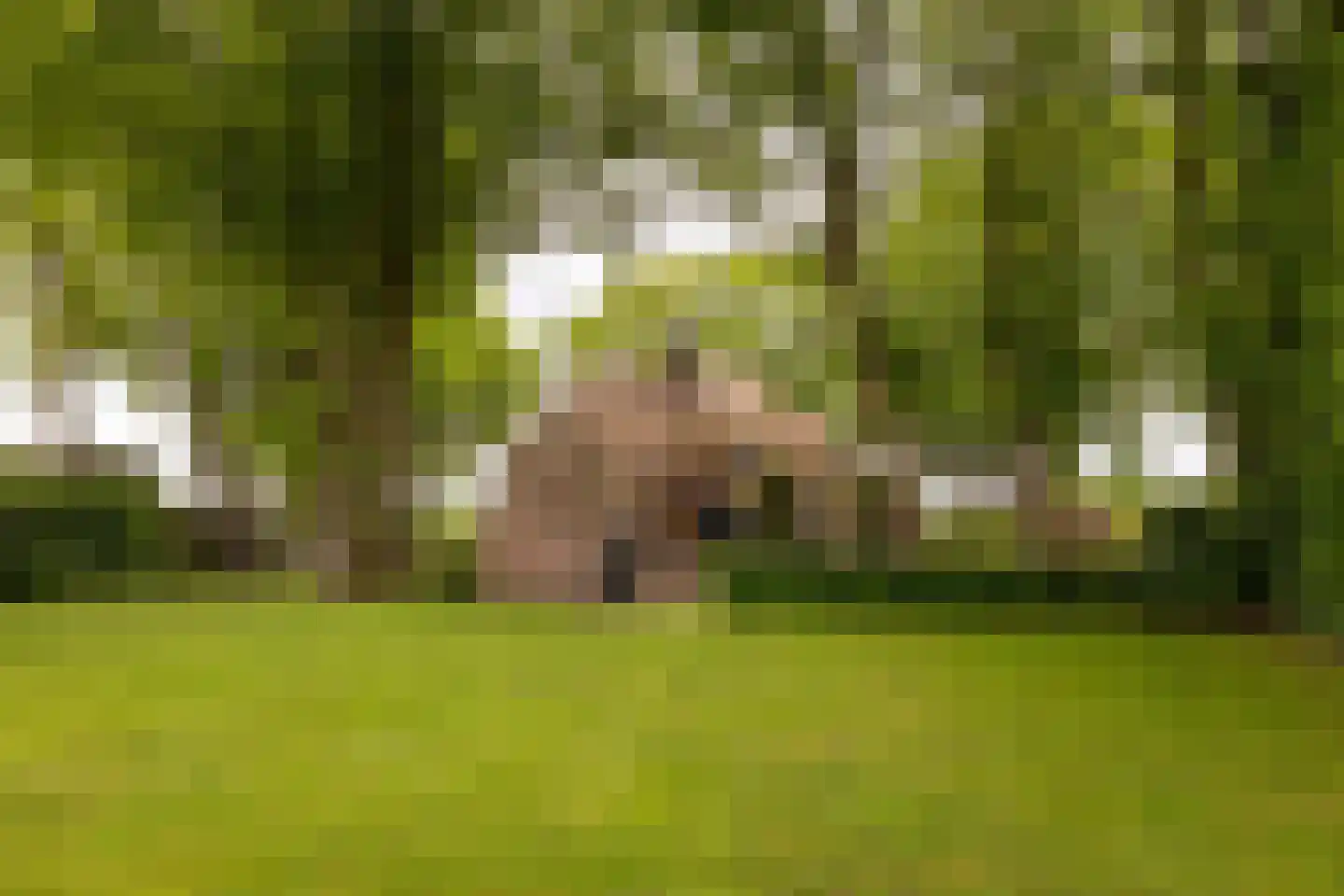 Veelhorsterweg 25 Nunspeet thumbnail 24