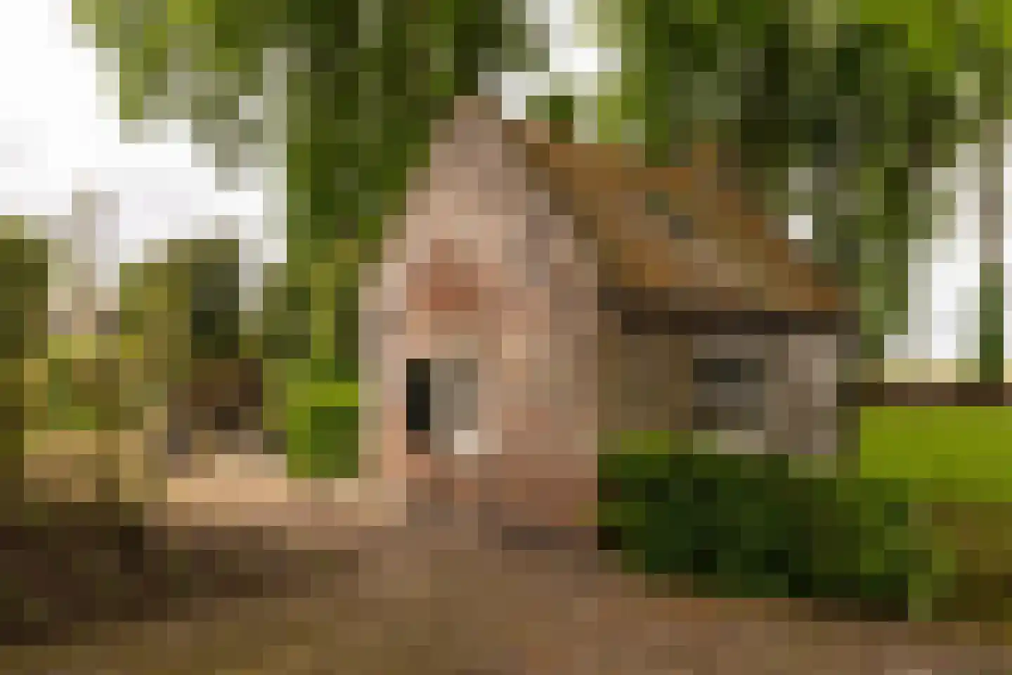 Veelhorsterweg 25 Nunspeet thumbnail 25