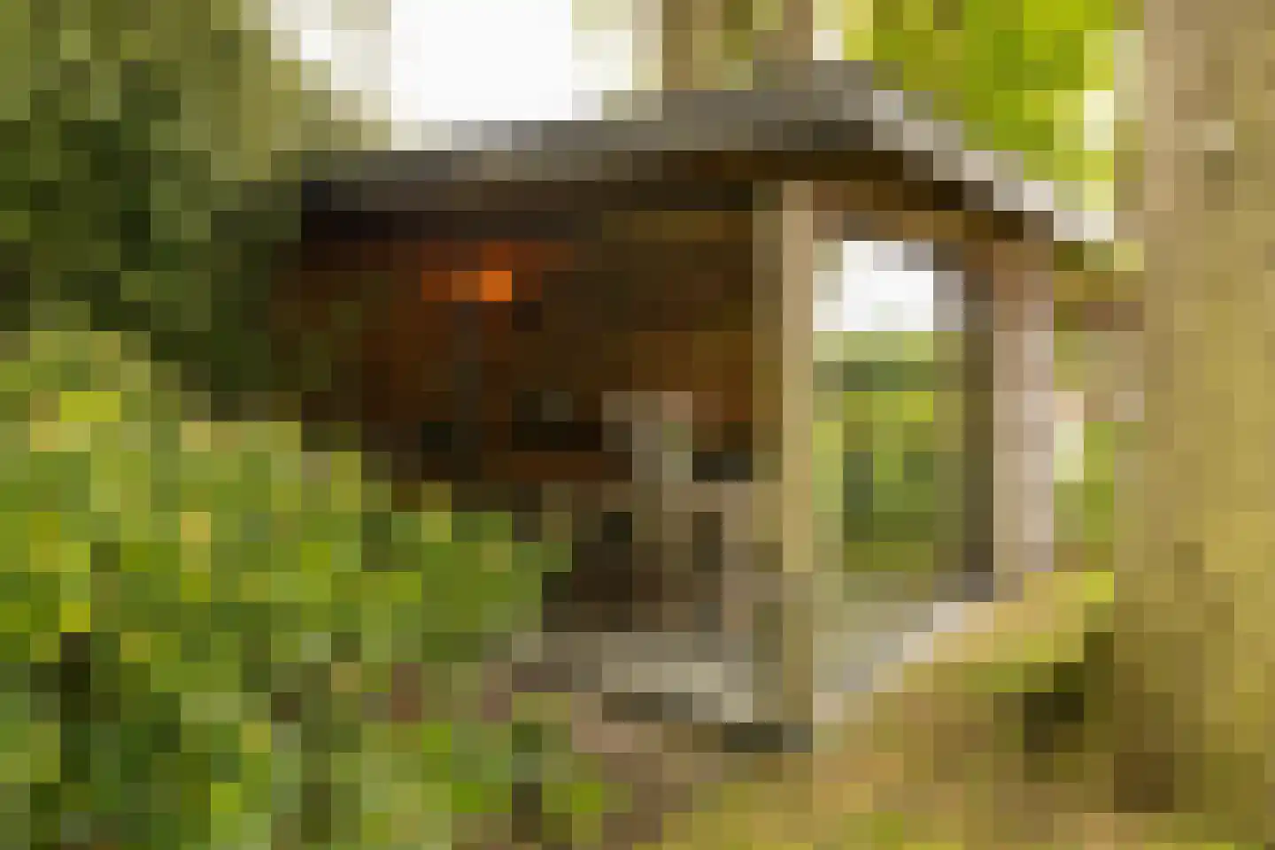 Veelhorsterweg 25 Nunspeet thumbnail 26