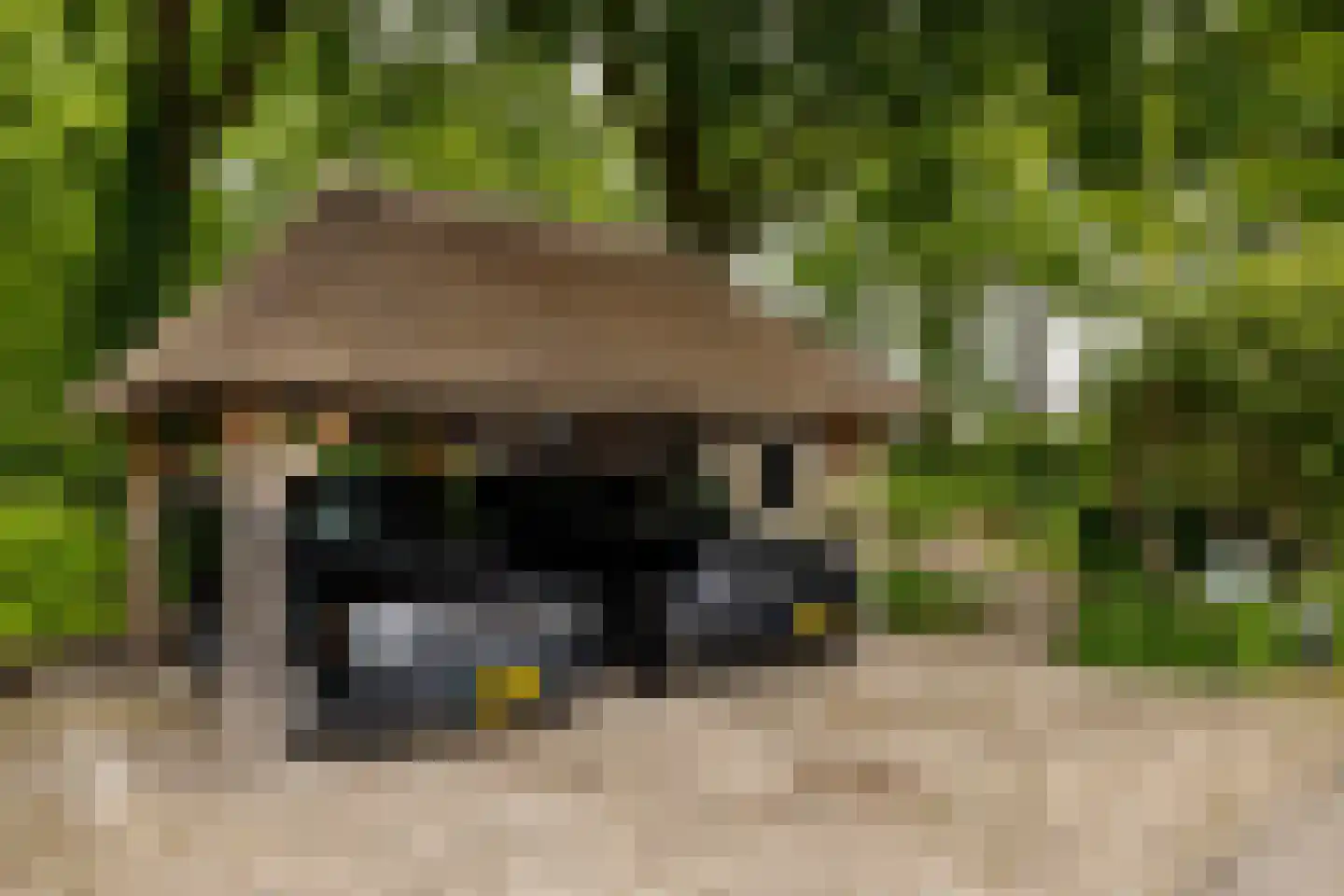 Veelhorsterweg 25 Nunspeet thumbnail 27