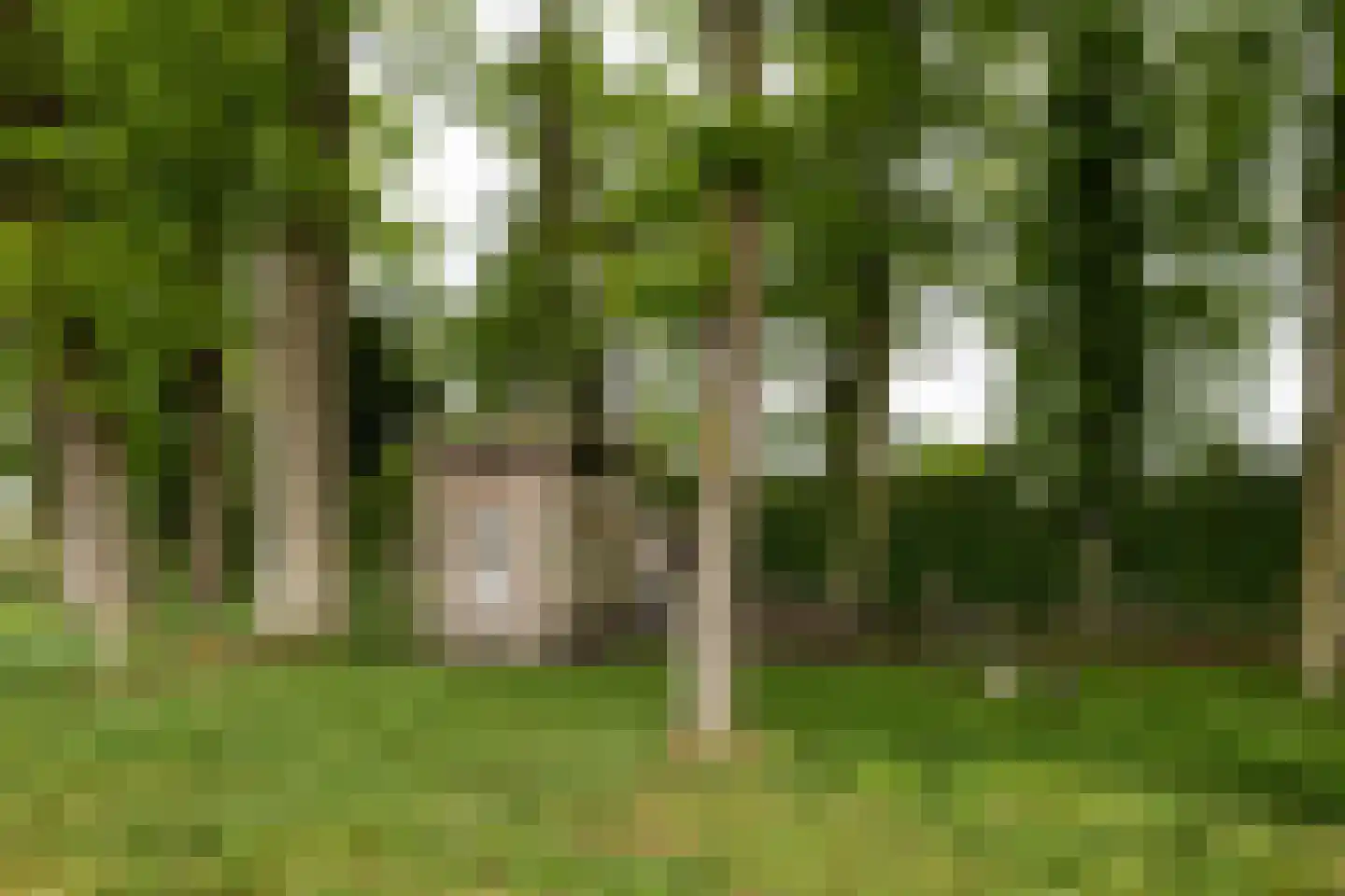 Veelhorsterweg 25 Nunspeet thumbnail 28