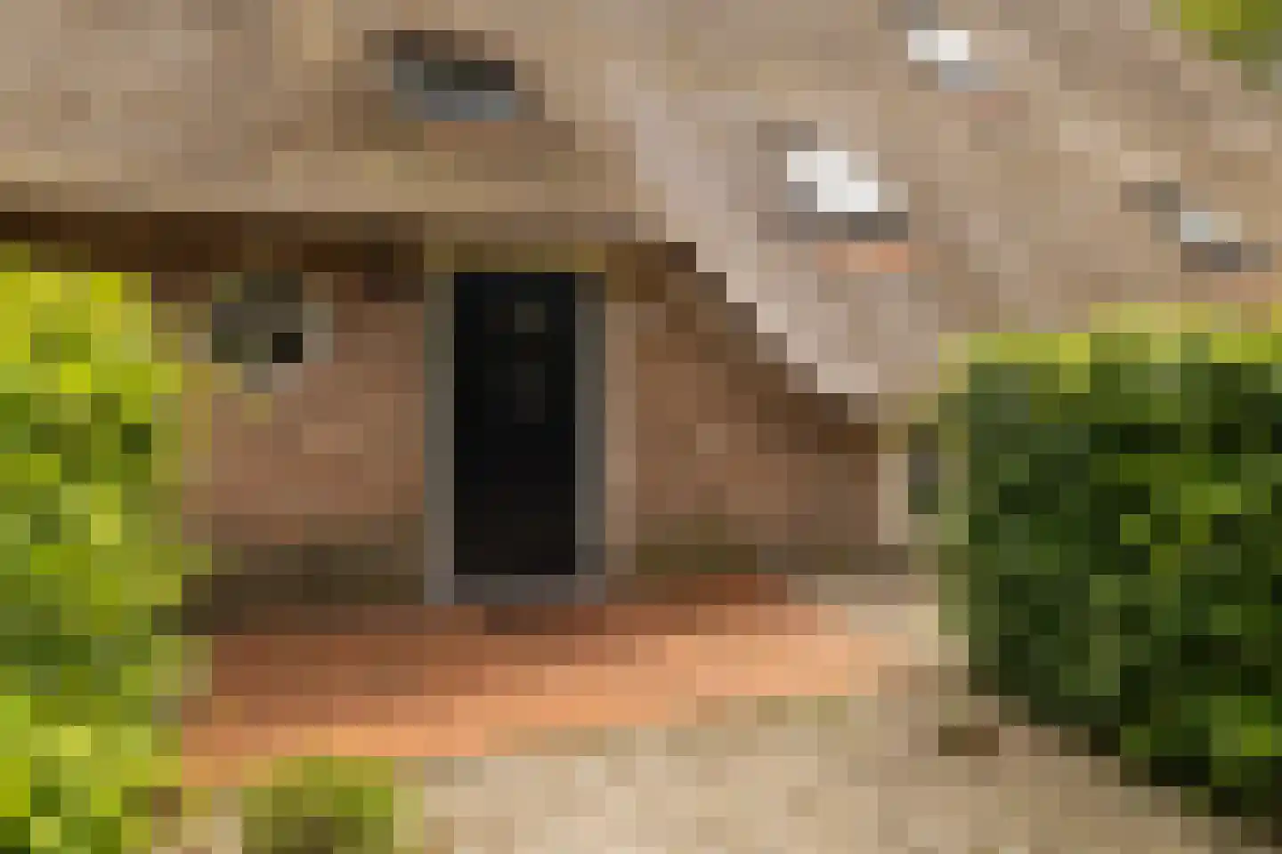 Veelhorsterweg 25 Nunspeet thumbnail 29
