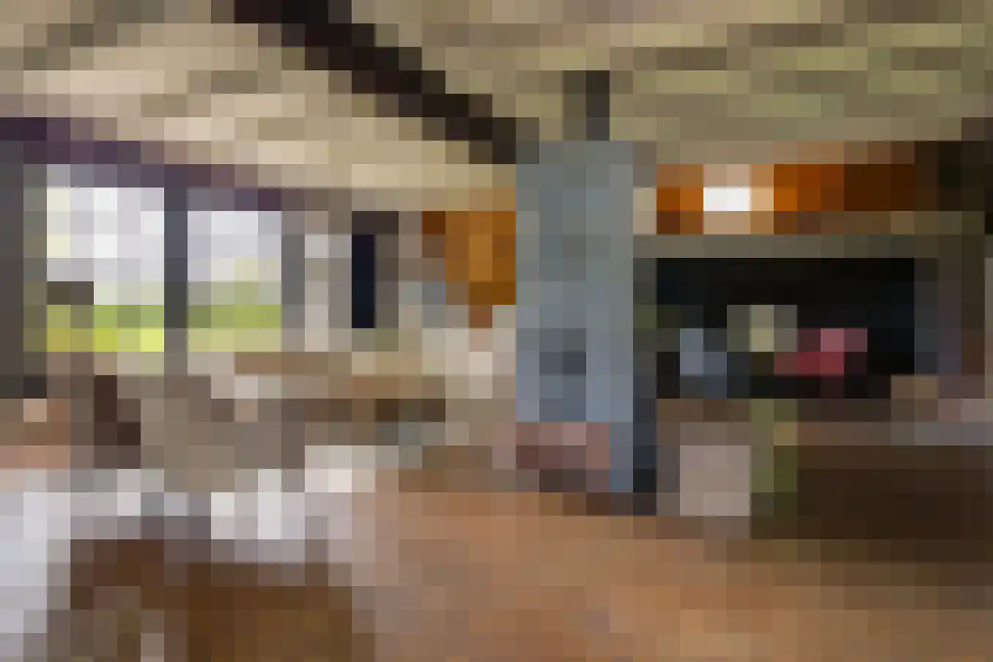 Veelhorsterweg 25 Nunspeet thumbnail 30