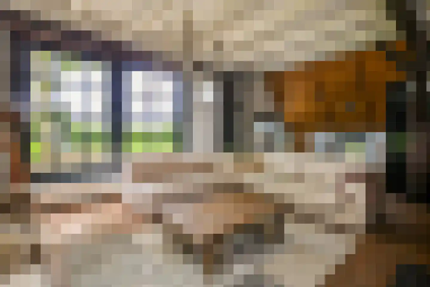 Veelhorsterweg 25 Nunspeet thumbnail 31