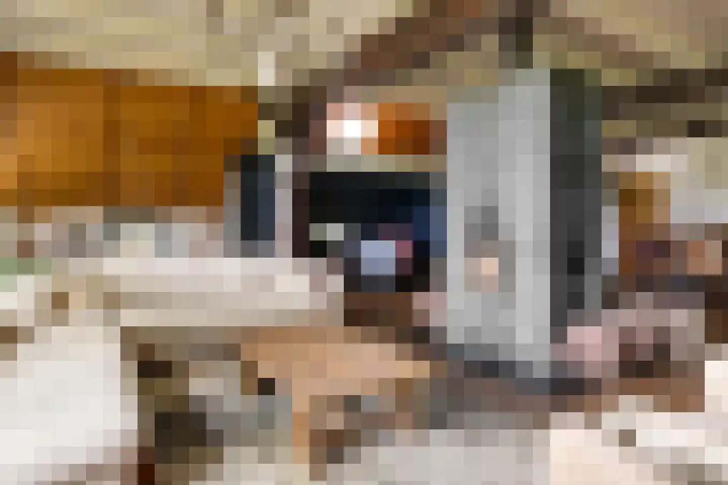 Veelhorsterweg 25 Nunspeet thumbnail 32