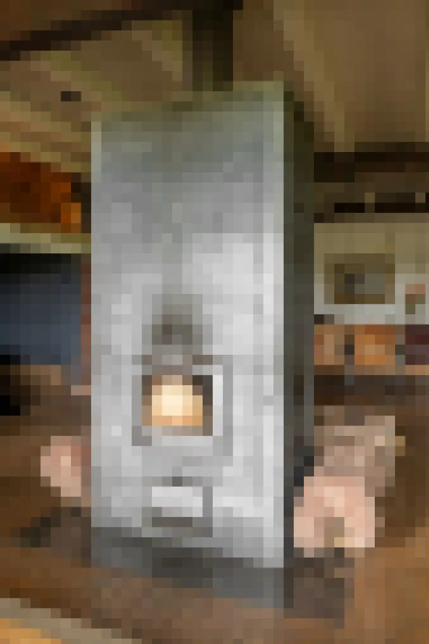Veelhorsterweg 25 Nunspeet thumbnail 33
