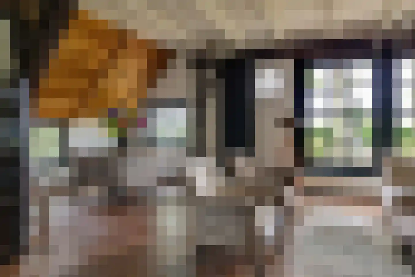 Veelhorsterweg 25 Nunspeet thumbnail 34
