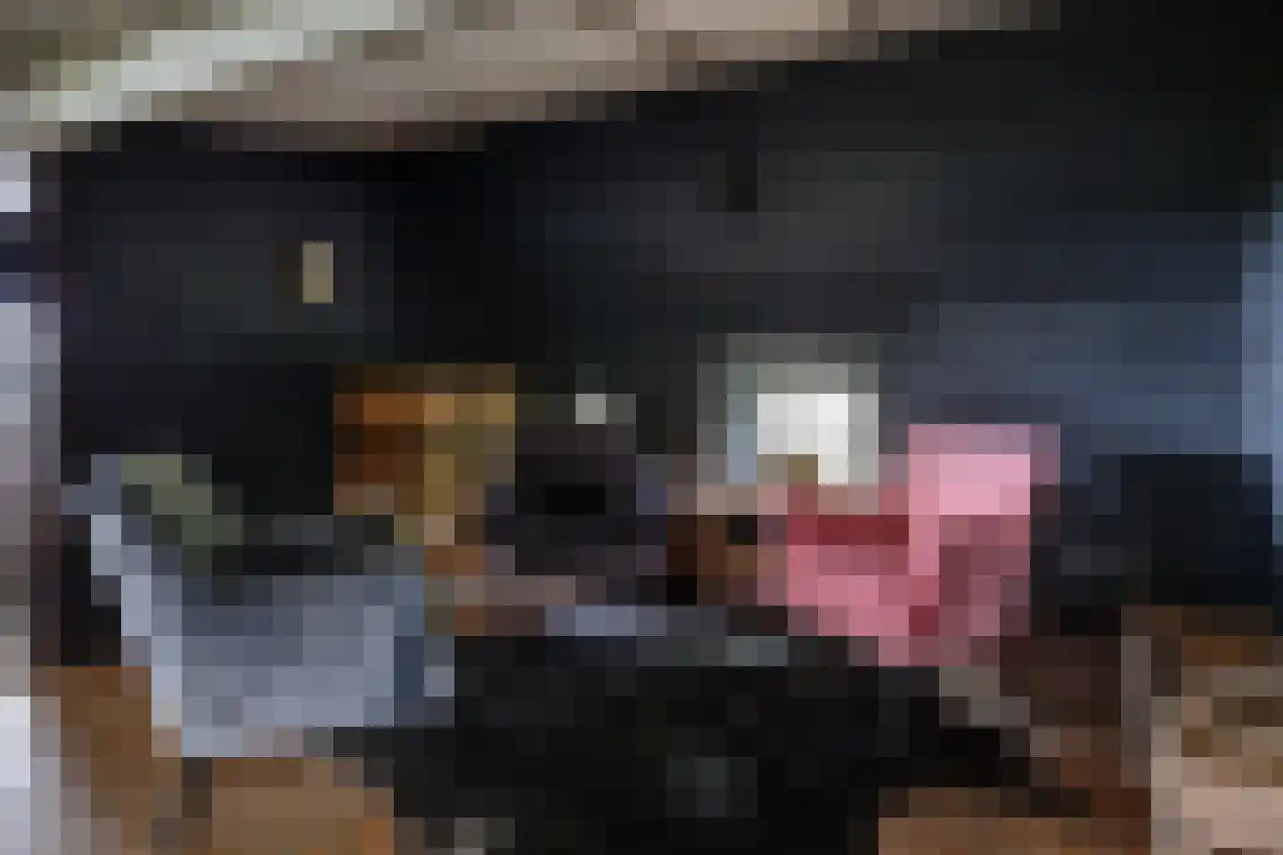 Veelhorsterweg 25 Nunspeet thumbnail 37