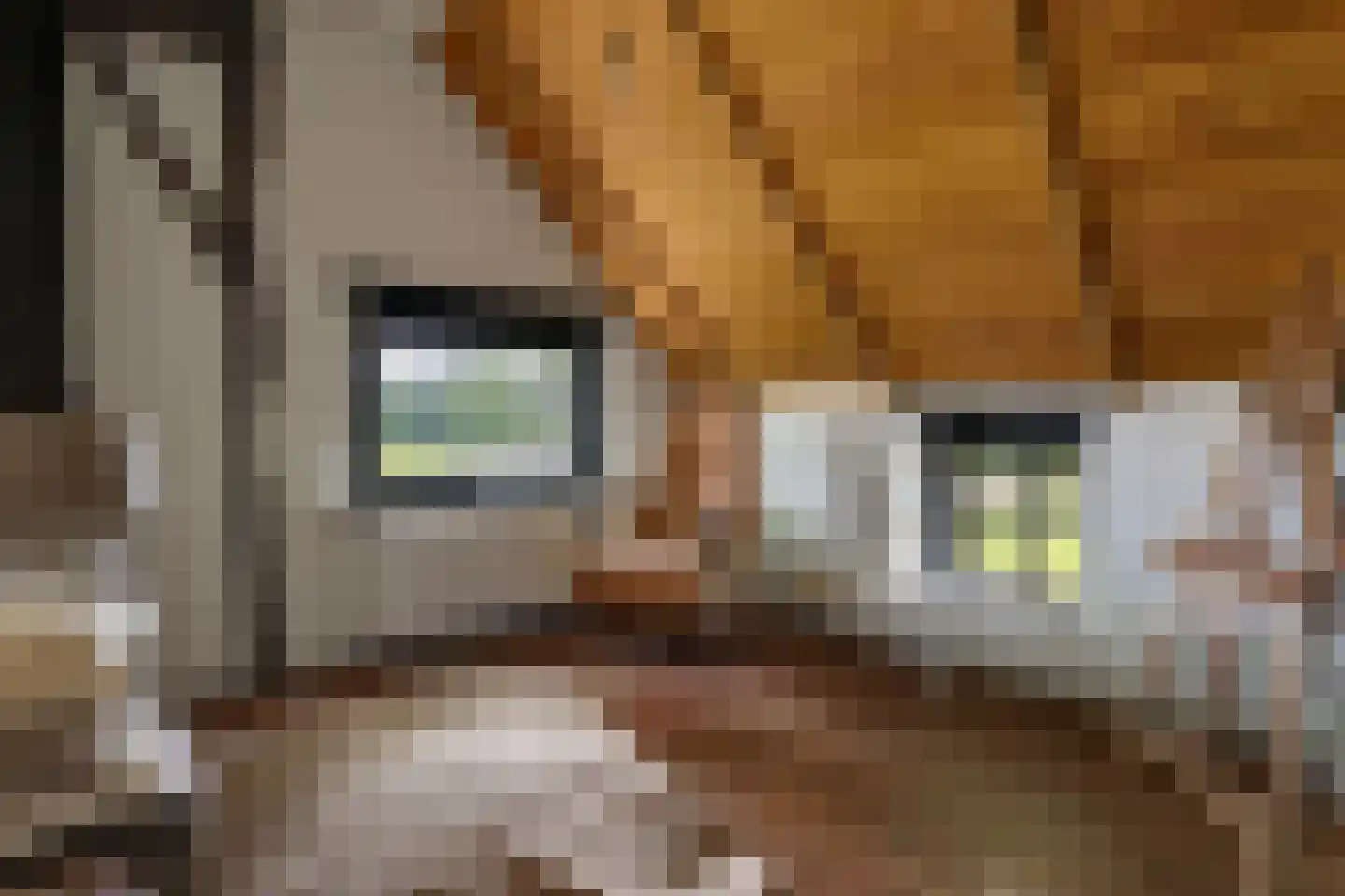 Veelhorsterweg 25 Nunspeet thumbnail 38