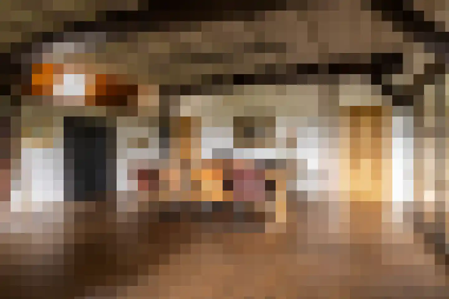 Veelhorsterweg 25 Nunspeet thumbnail 39