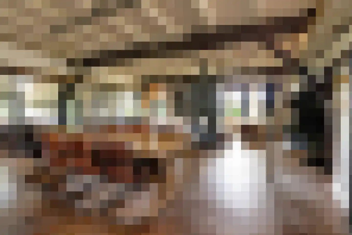 Veelhorsterweg 25 Nunspeet thumbnail 4