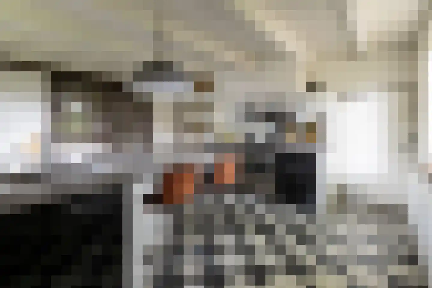 Veelhorsterweg 25 Nunspeet thumbnail 45