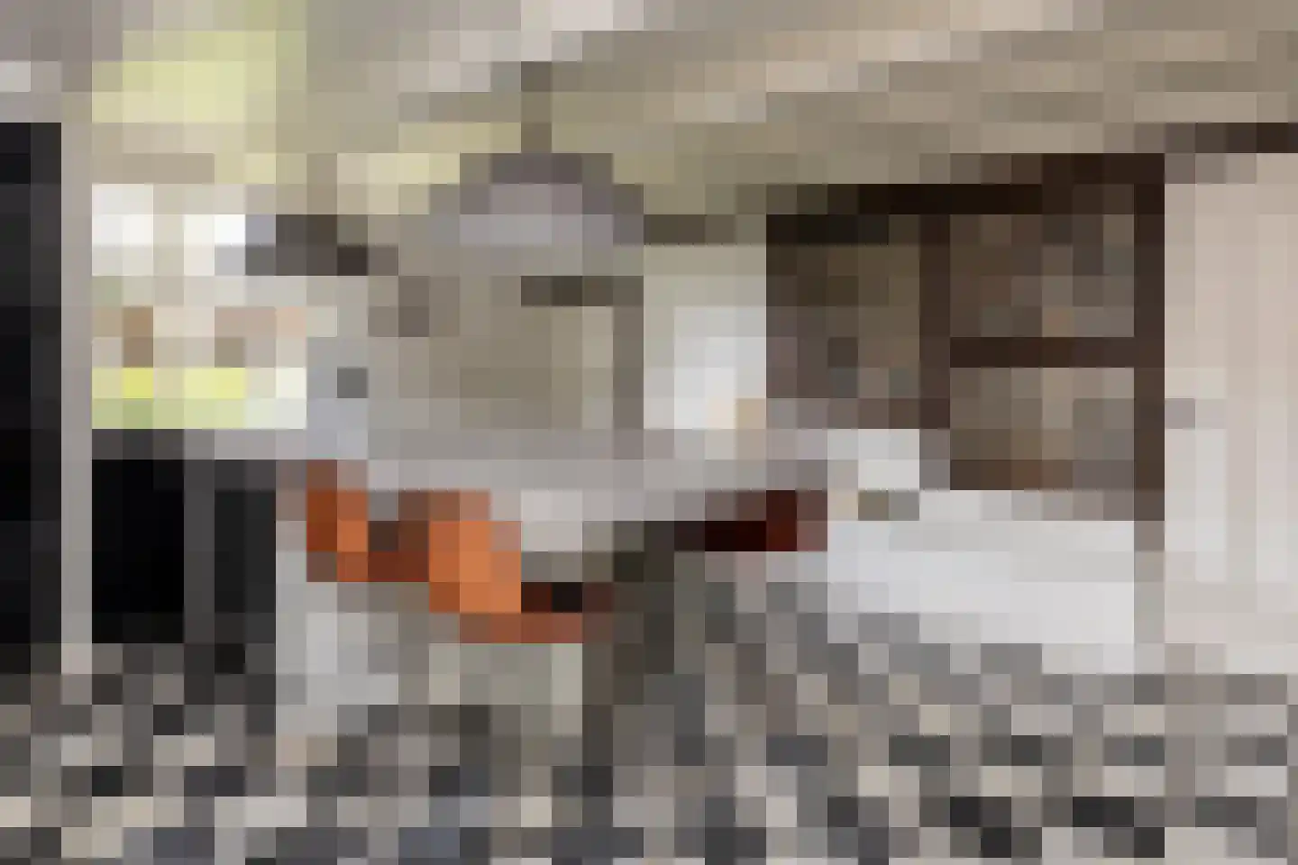 Veelhorsterweg 25 Nunspeet thumbnail 47