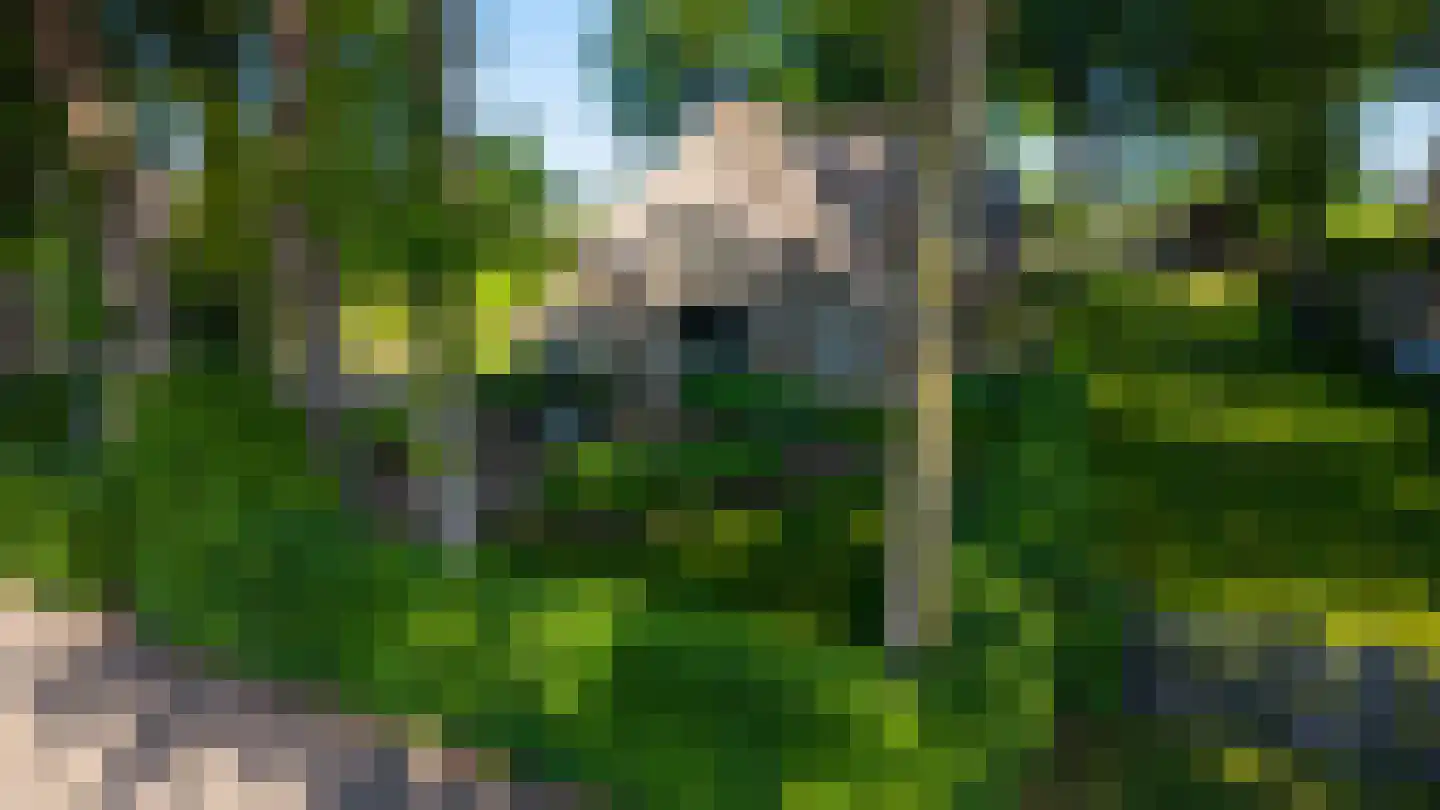 Veelhorsterweg 25 Nunspeet thumbnail 5