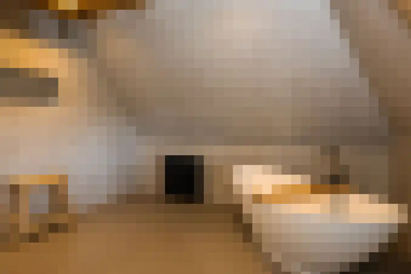 Veelhorsterweg 25 Nunspeet thumbnail 60